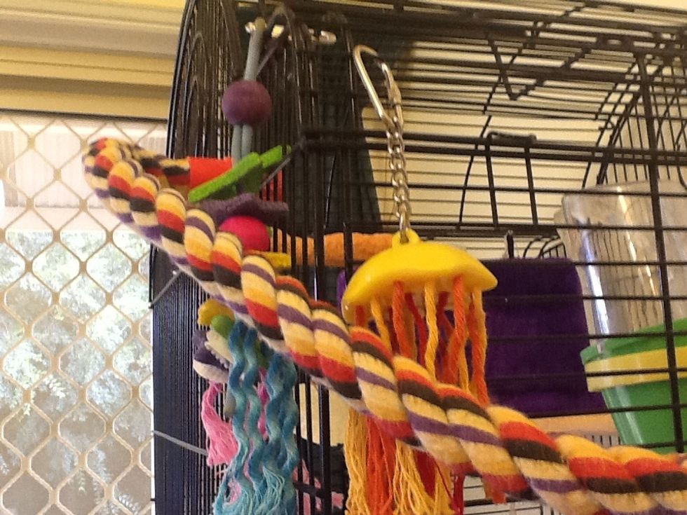 Move toys and put in new ones.