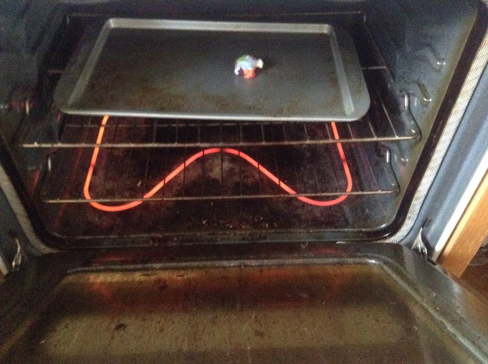 Mr. Turtle in the oven!
