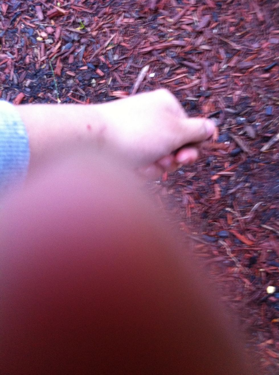 Mulch, oops my finger is in the pic\ud83d\ude1c