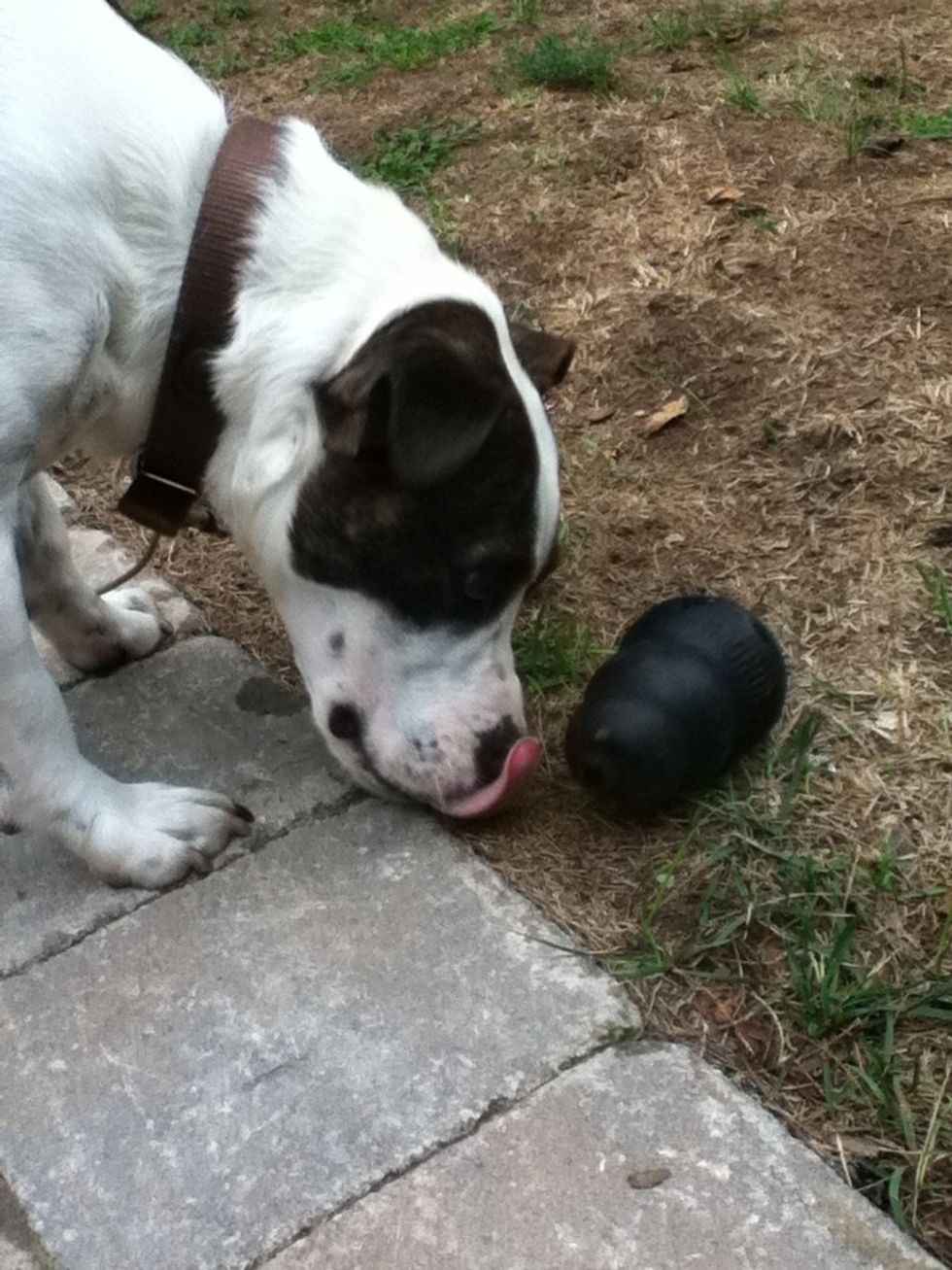 must. keep. licking .