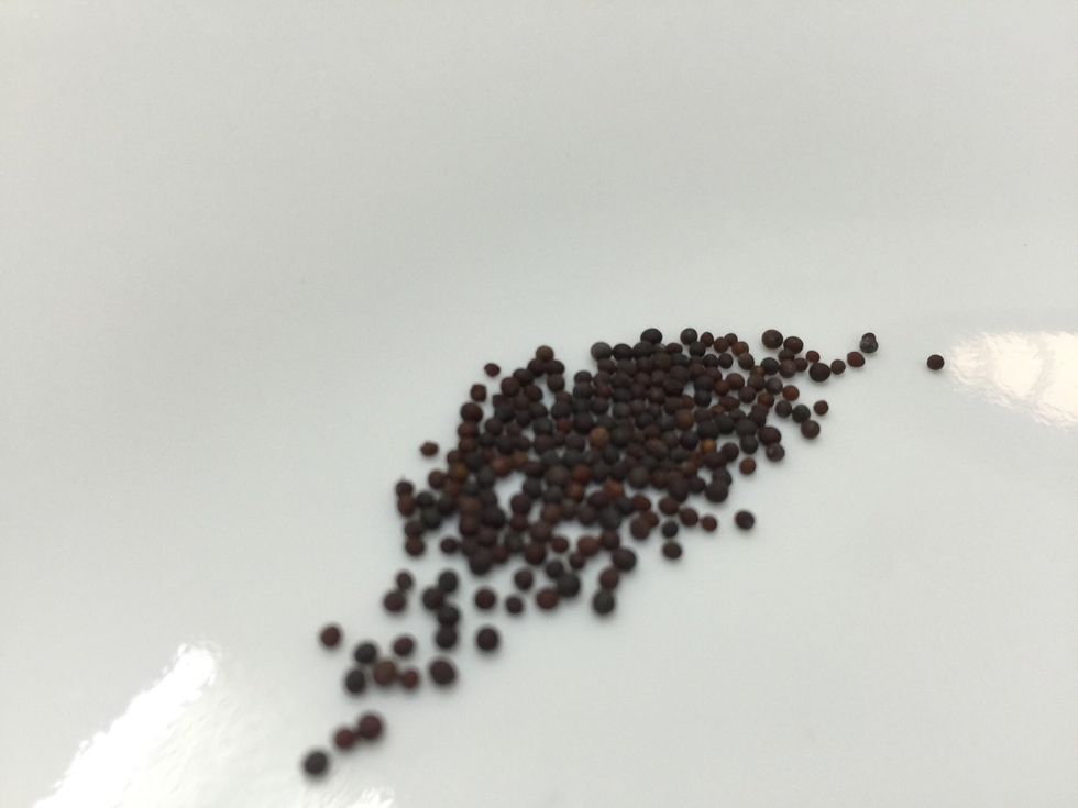 Mustard seeds
