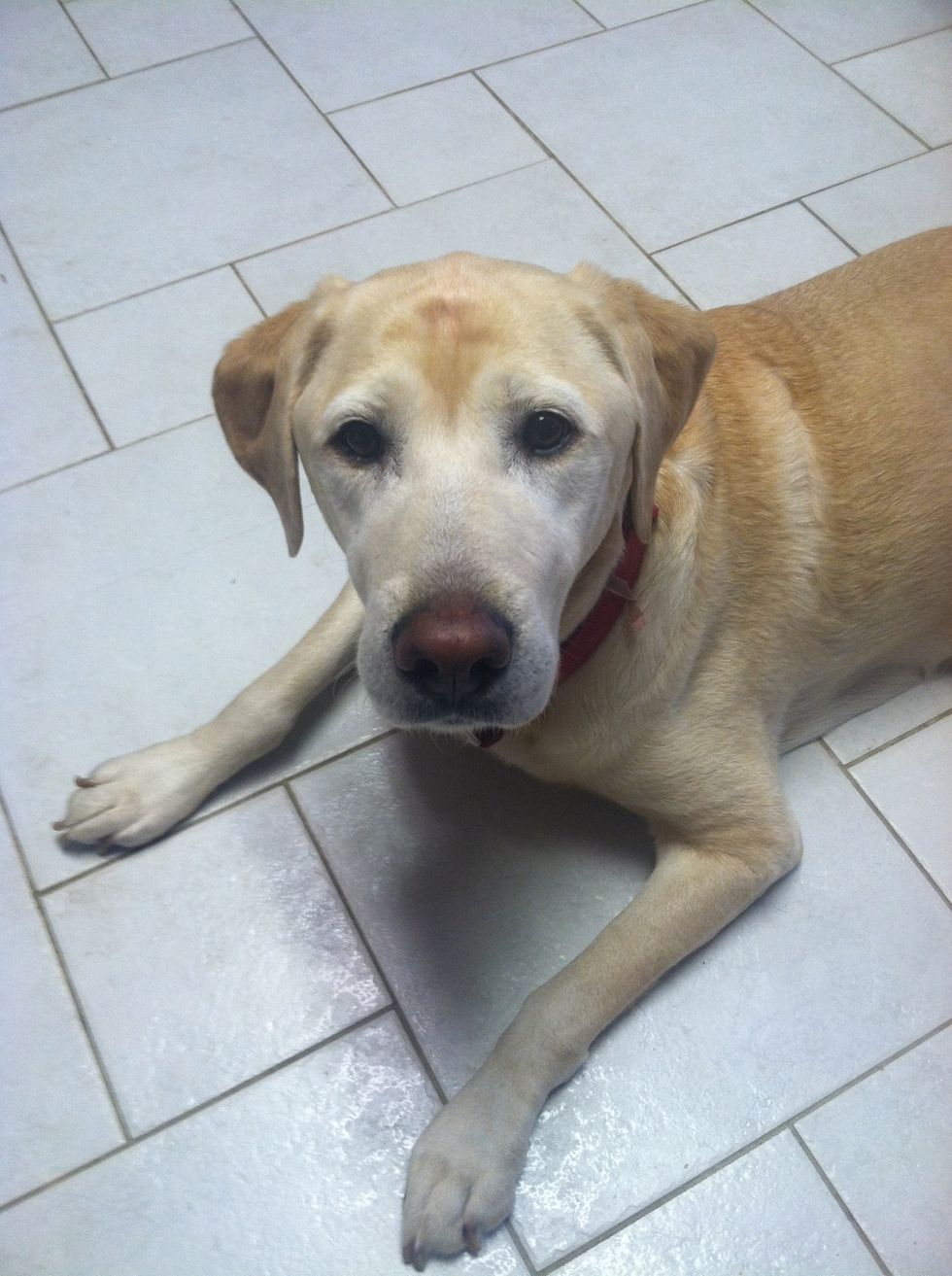 My assistant helper to clean up any pieces that fall onto the floor(: