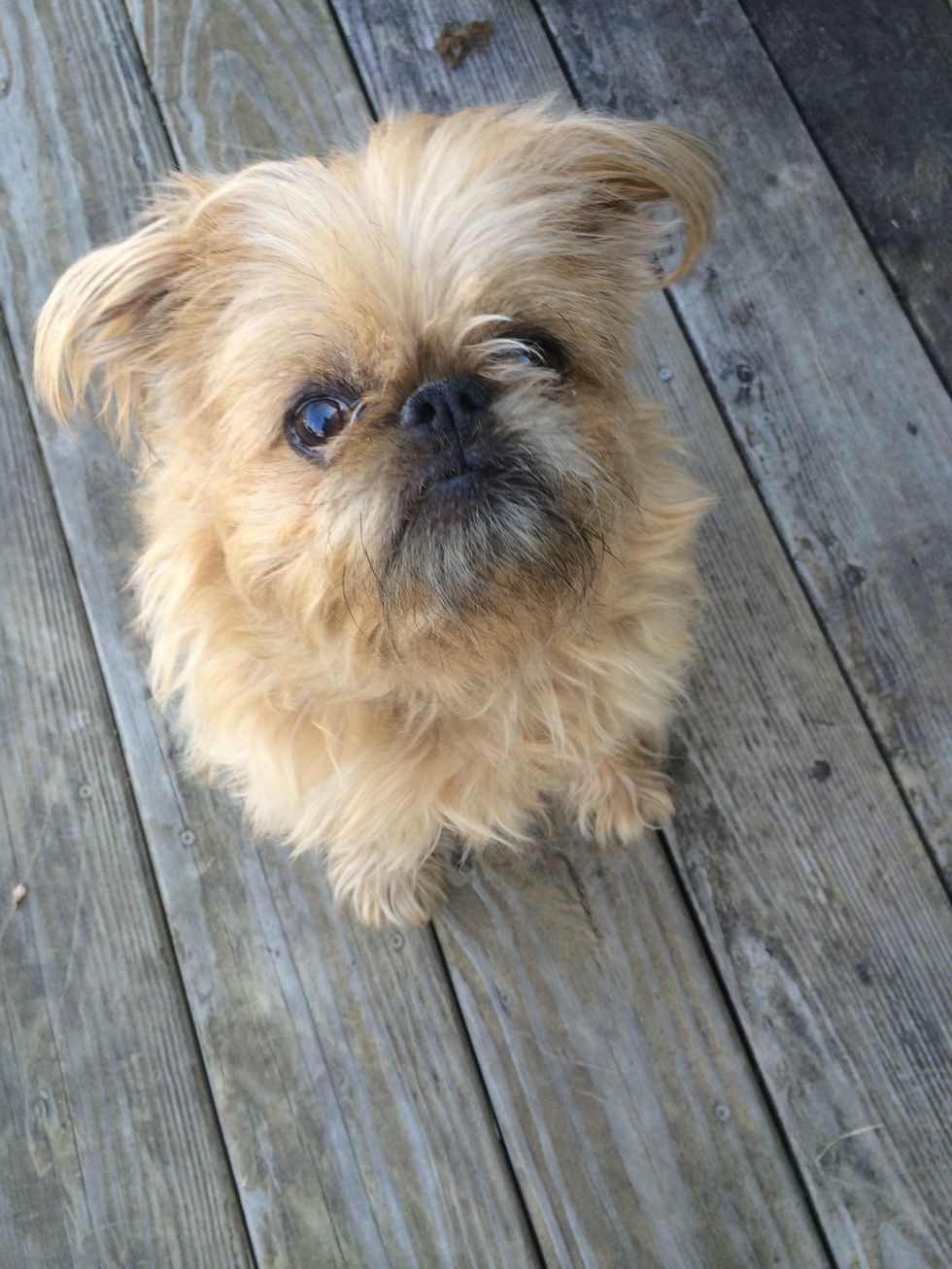 My buddy since I was born showed me perseverance when he went through surgeries to fix his heart