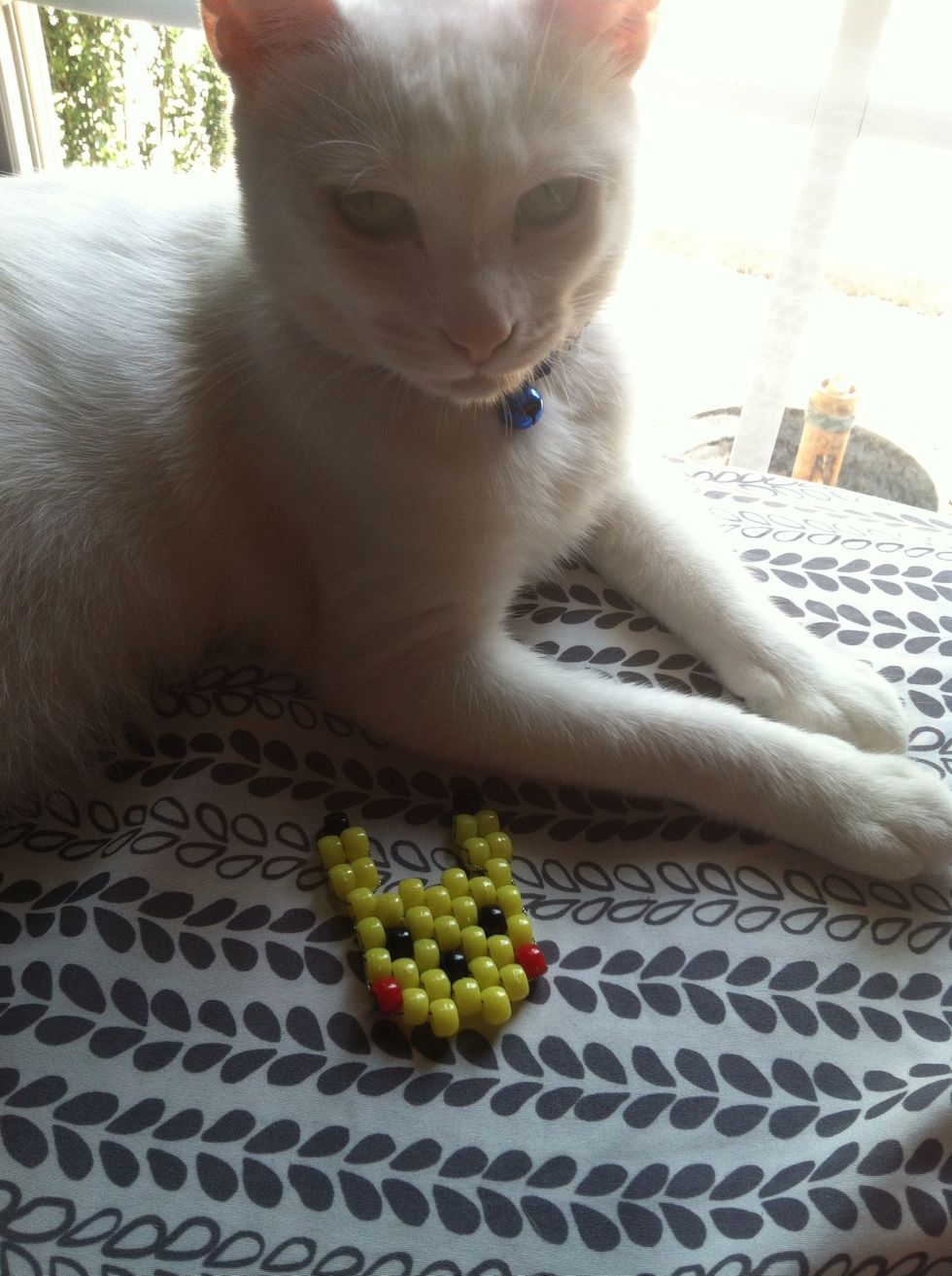 My cat decided to join the party :p WOOO YOUR FIRST PEYOTE STICH PIKACHUU ^.^
