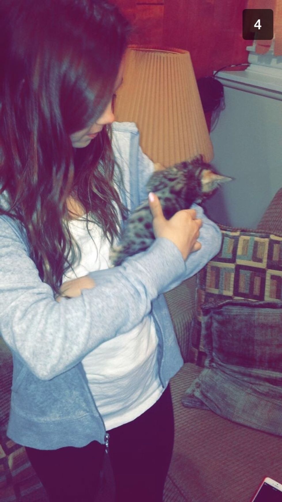 My cat makes me feel better when i am having a bad day or just sad