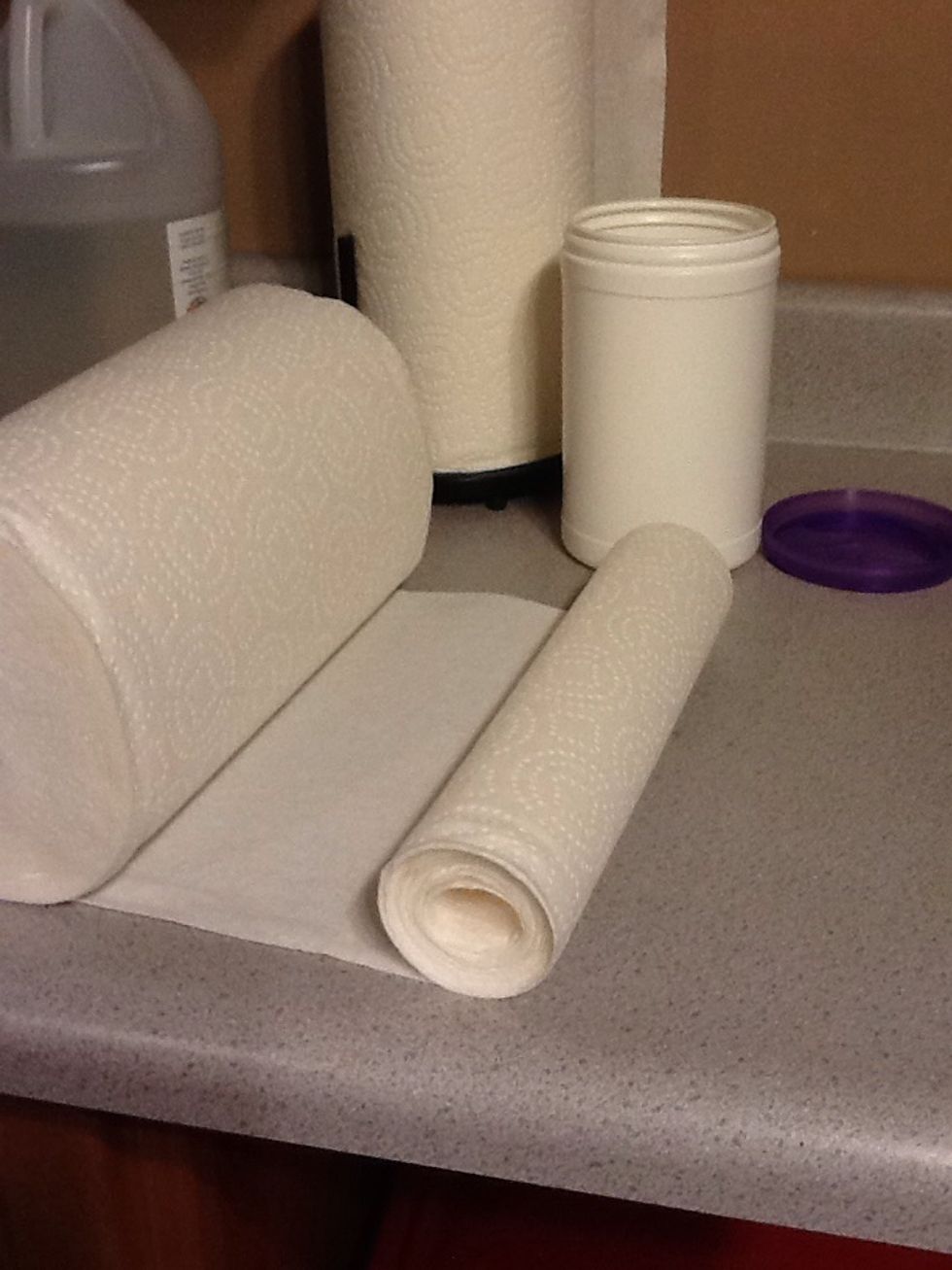 My container is smaller than my paper towel roll so I just rolled some paper towels up from the other end making my own smaller roll till it was the size of my container.