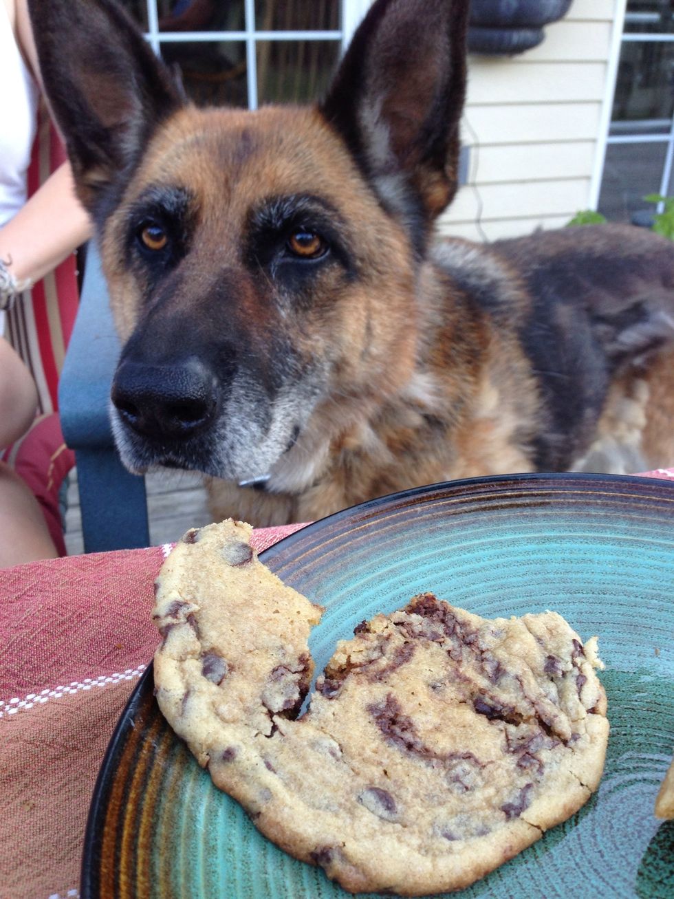 My doggy even wanted a bite! Best part about these cookies is that on a hot summer day, your oven doesn't even have to turn on!