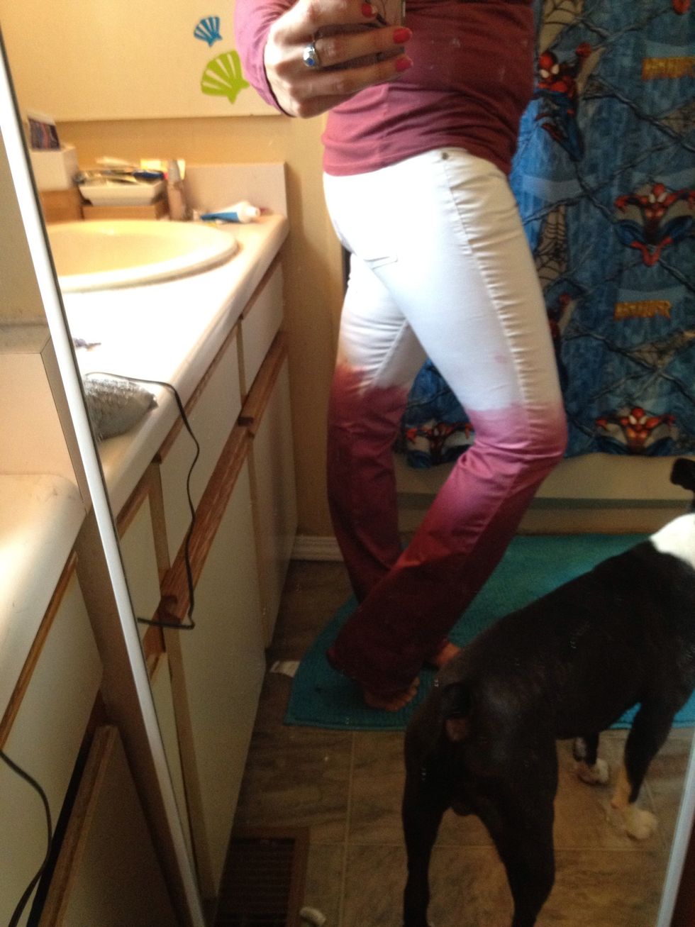 My dogs everywhere I am.