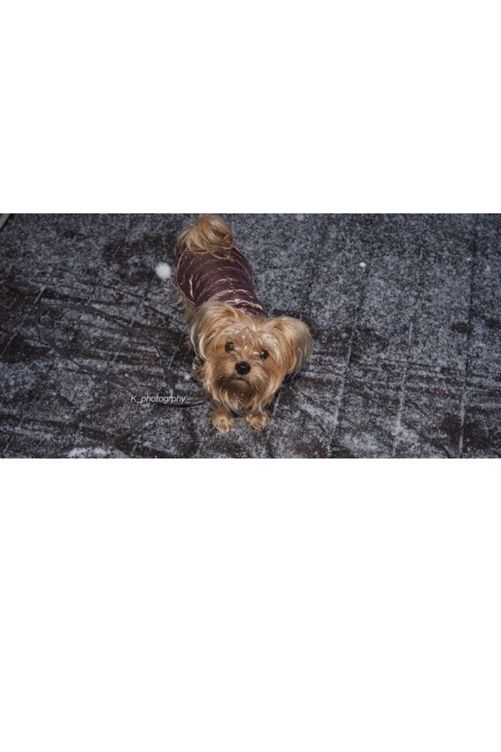 "My favorite part of the day is coming home to loved ones that wag their tails" \ud83d\udc36 having a dog is the best cause they will always put you in a better mood