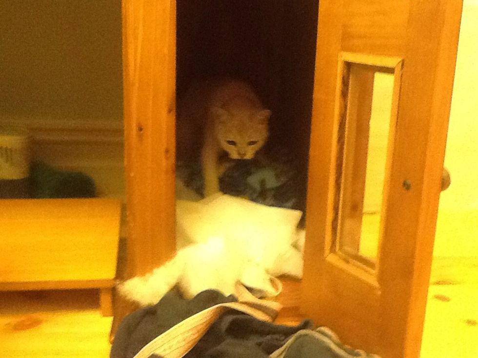 MY FAVOURITE PICTURE!!!!!!!!!!!!!!!!