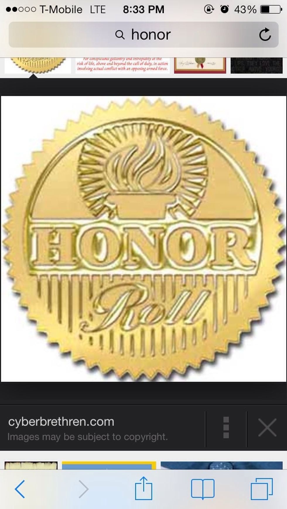 My guide of success is over, sadly, but all amazing things must come to an end