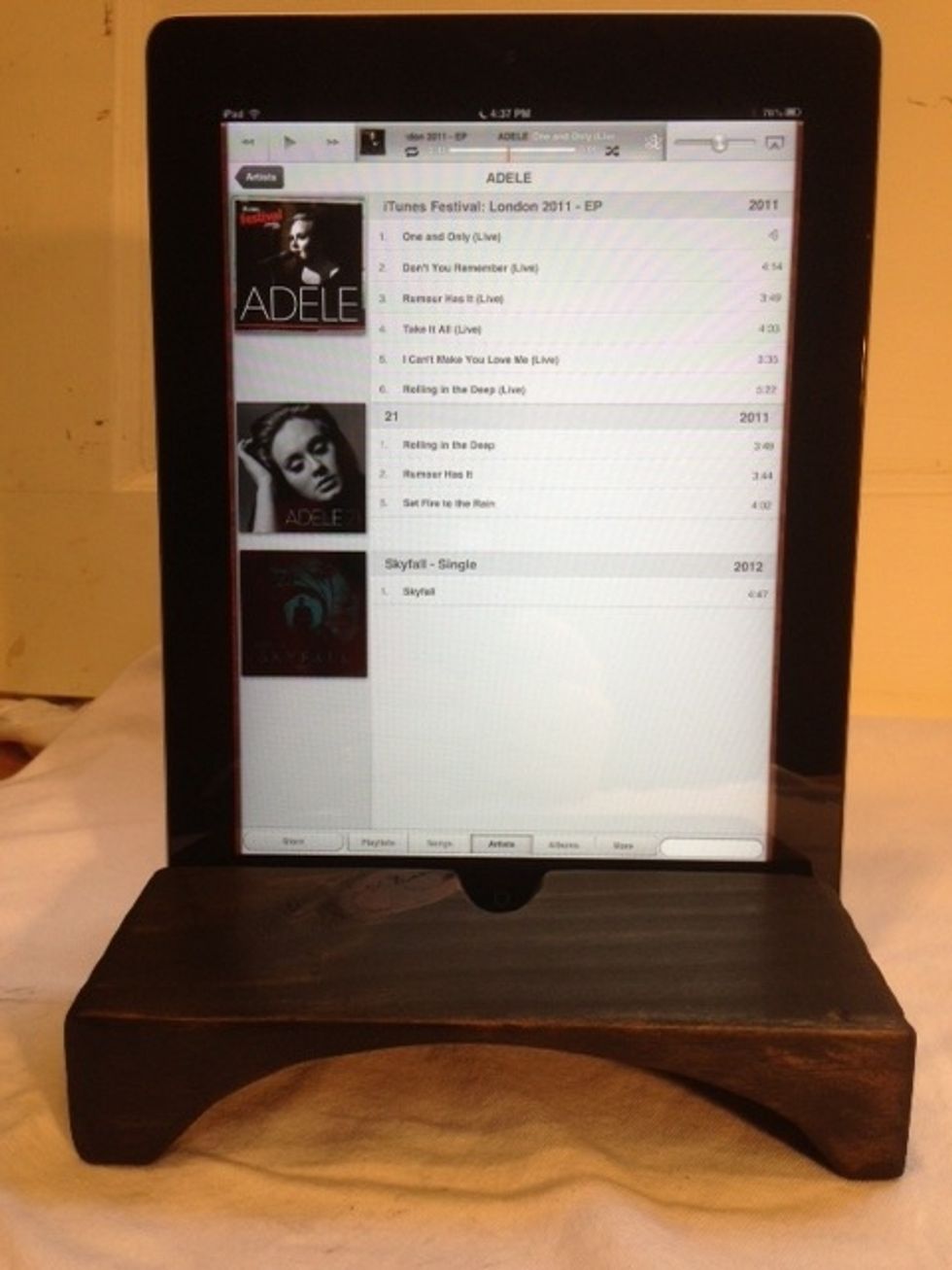 My Ipad, jamming out with Adel sitting on my custom iPad/IPhone naturally amplified speak from a scrap piece of wood. How much $ did you say... priceless! :)