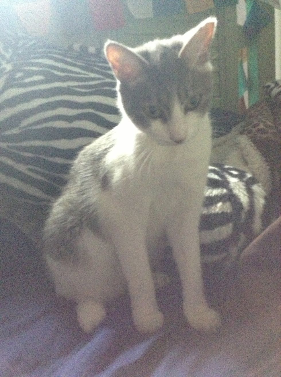 My little star Willam.