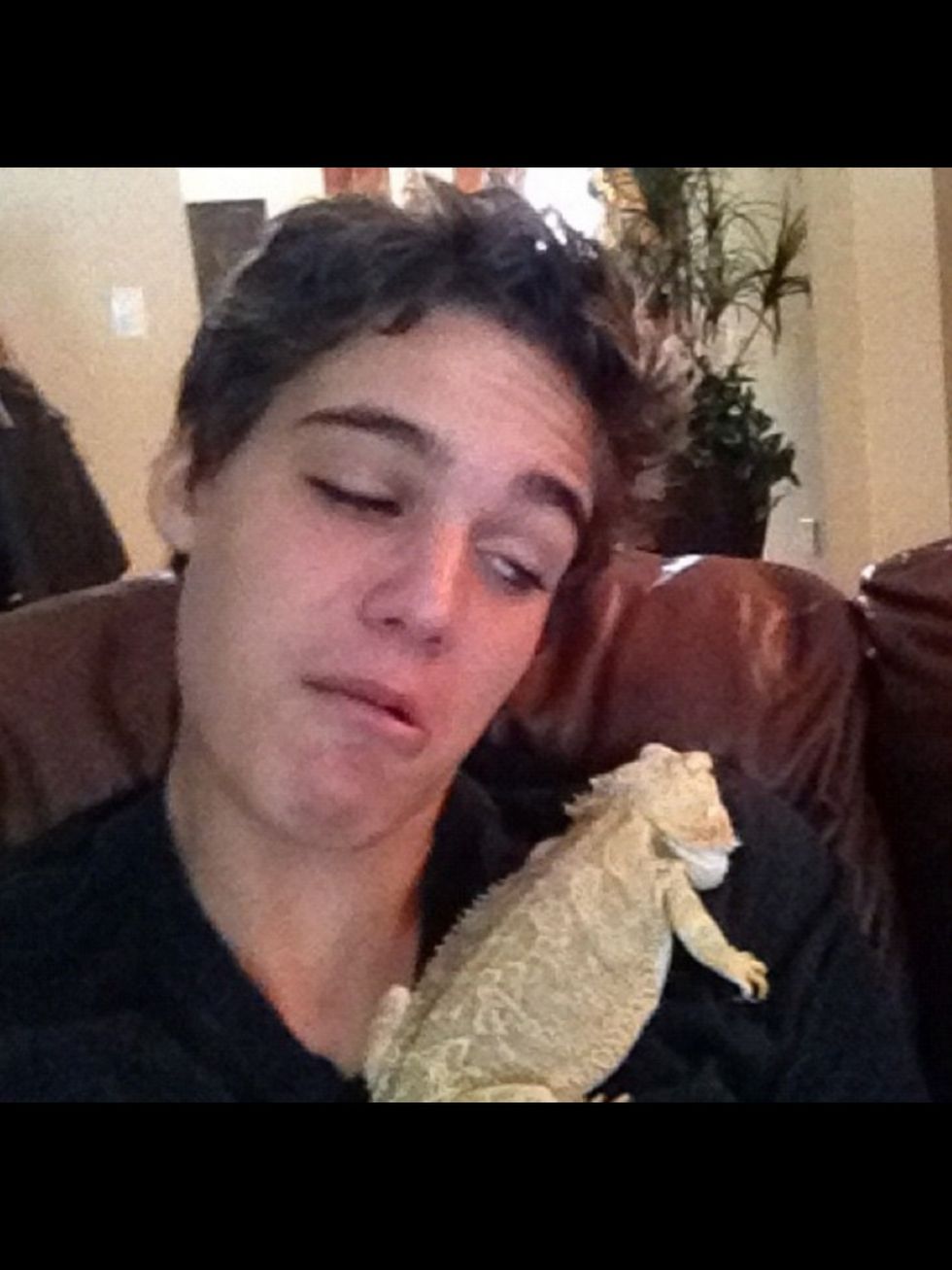 My lizard