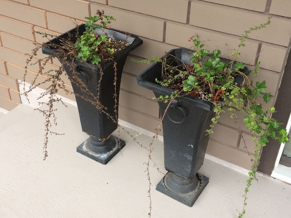 My planters have died back with only a geranium still alive, so I cut out all the dead material to prepare for the makeover.