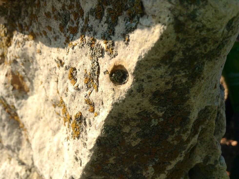 My research tells me aside rain did this.