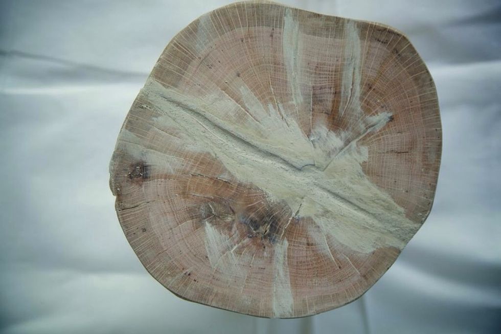 My trunk had some massive cracks that I wanted filled in a bit. Use a stainable wood filler and filled according to directions.