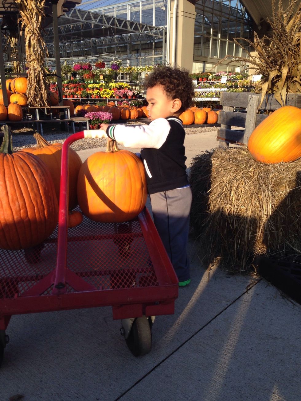 My youngest grandson doesn't believe in using canned pumpkin!