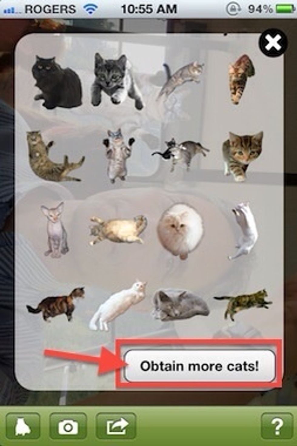 Need more cats? CatPaint has in-app purchases - for a dollar you can buy more cats.