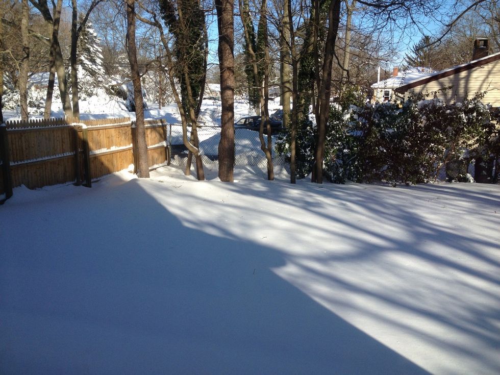 Nemo has left Long Island with almost 26 inches of snow! Best to take advantage of this...