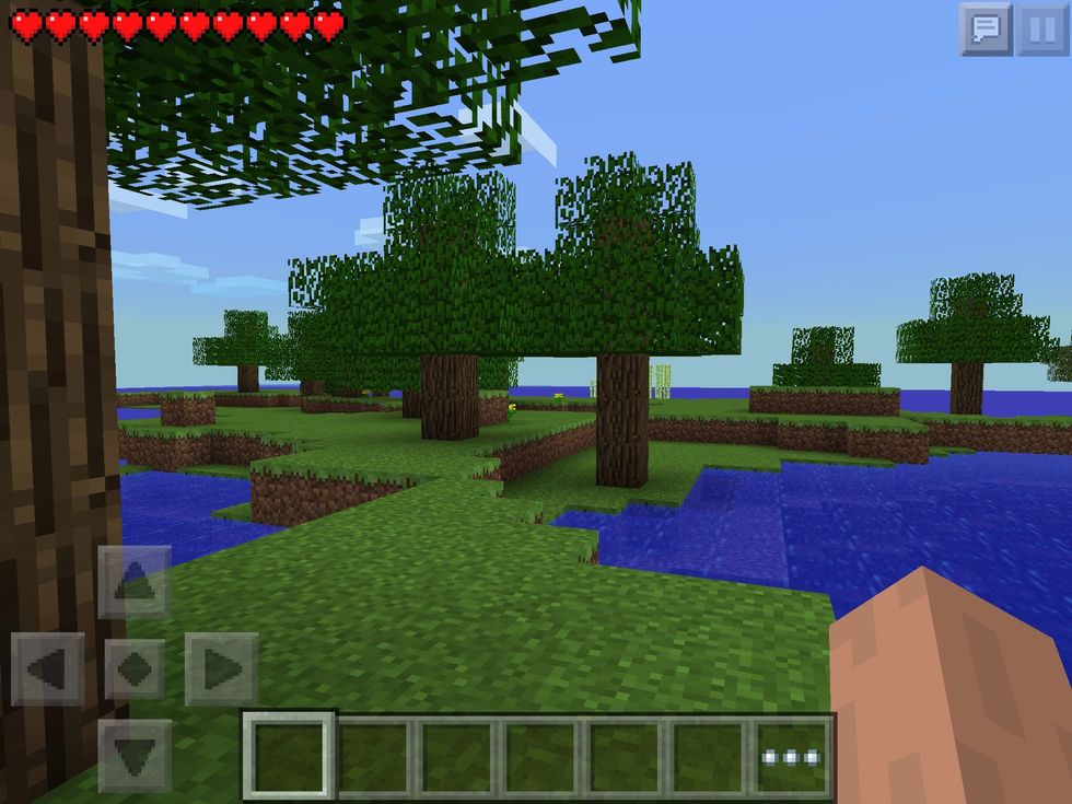 New beginnings! Welcome to your new world! No time to admire the view, collecting supplies is your first job!