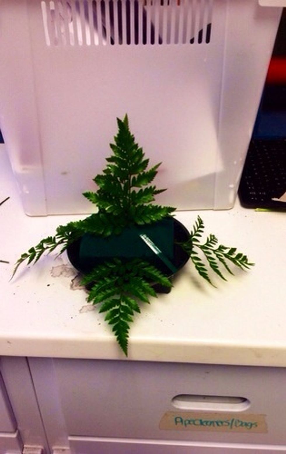 Next: 6 pieces of cleaned leather leaf (4 on each side, 2 on top back to back) By cleaning the leather leaf, it extends the arrangements life. All pieces of leather leaf should be same size and length