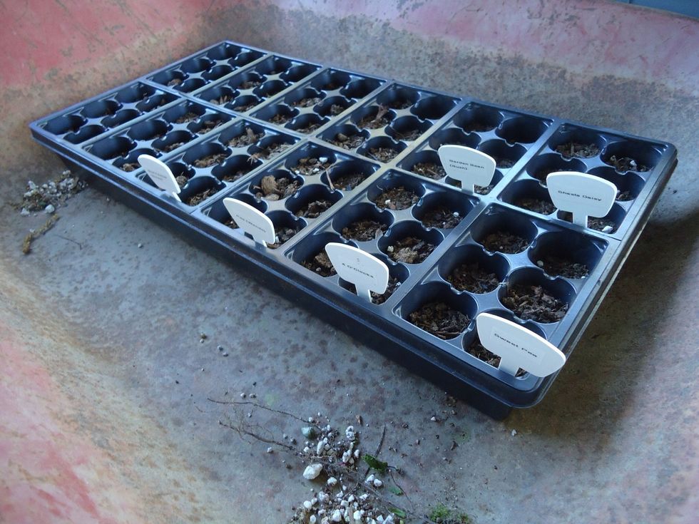 Next add labels so you remember what plants you planted where. I used a label maker for my labels but a pen or pencil always works fine.