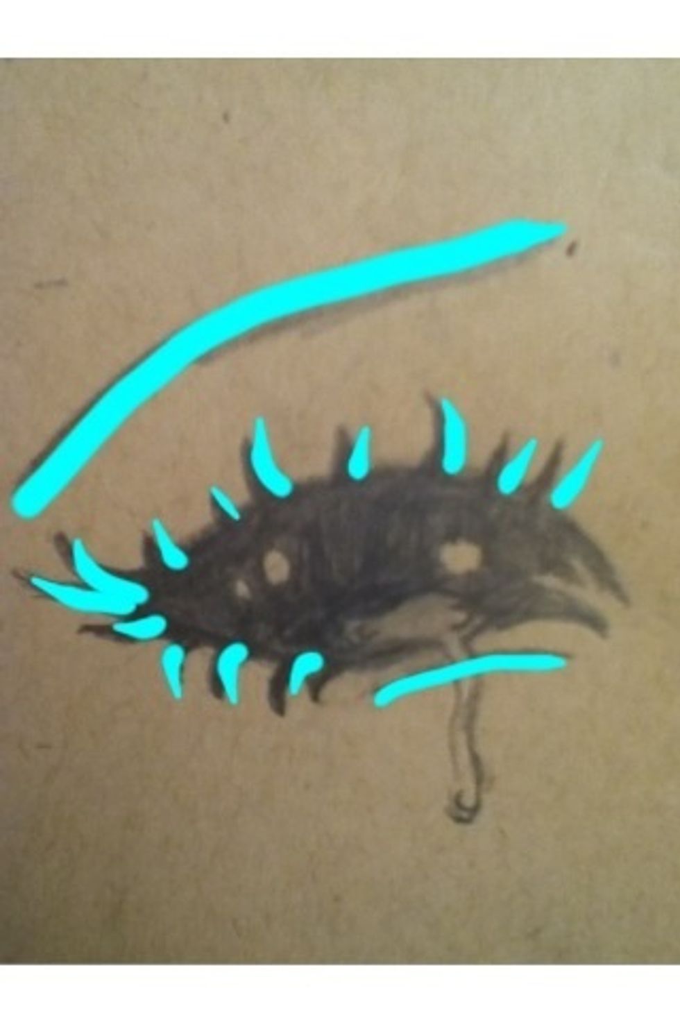 Next add the eyebrow, eyelashes, and lower lid crease.