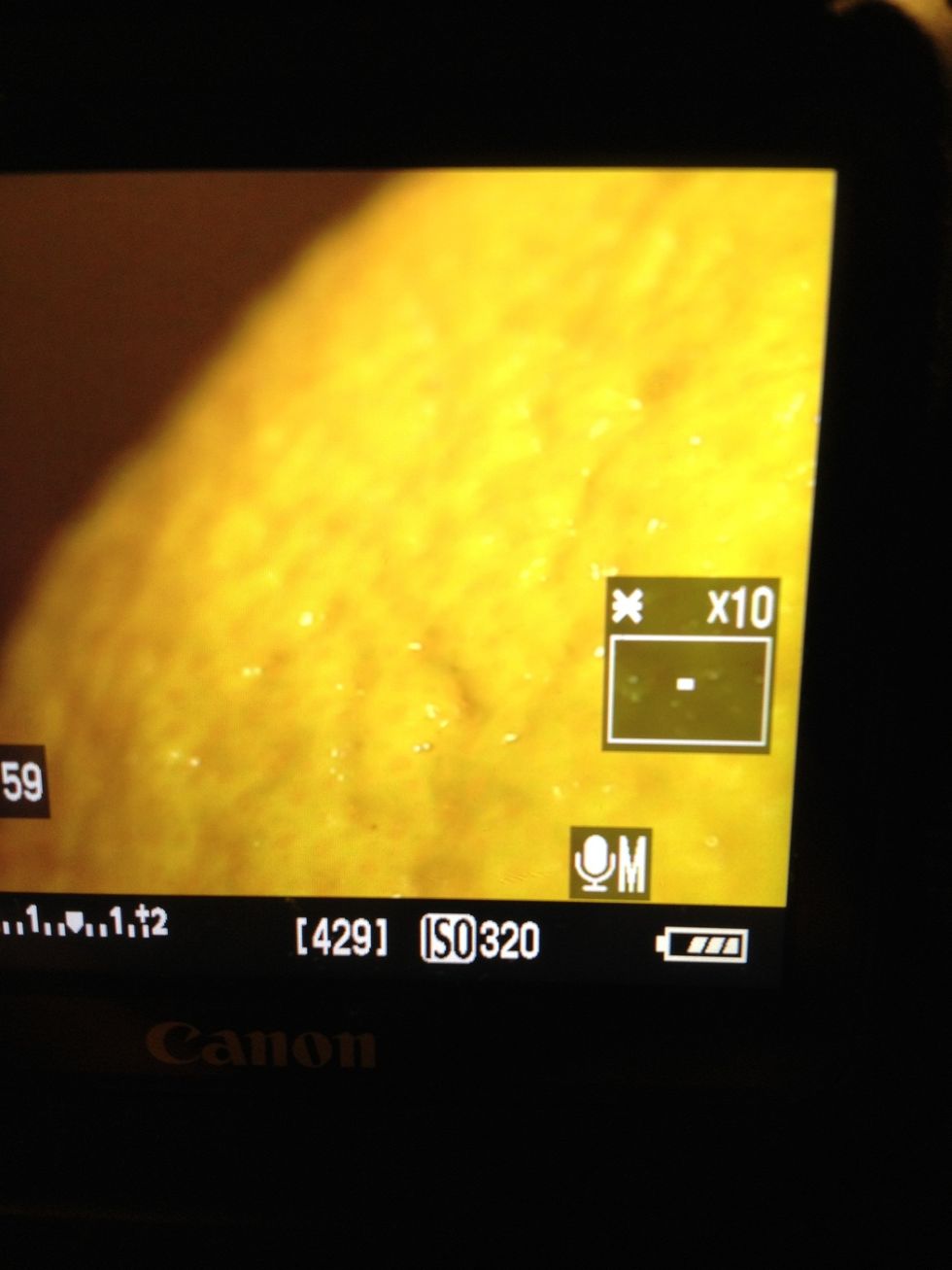 Next (and most importantly) is focus. You can either set your lens to autofocus, or use the zoom button to magnify your image 10x. Rotate the focal ring on the lens until your focal point is sharp.