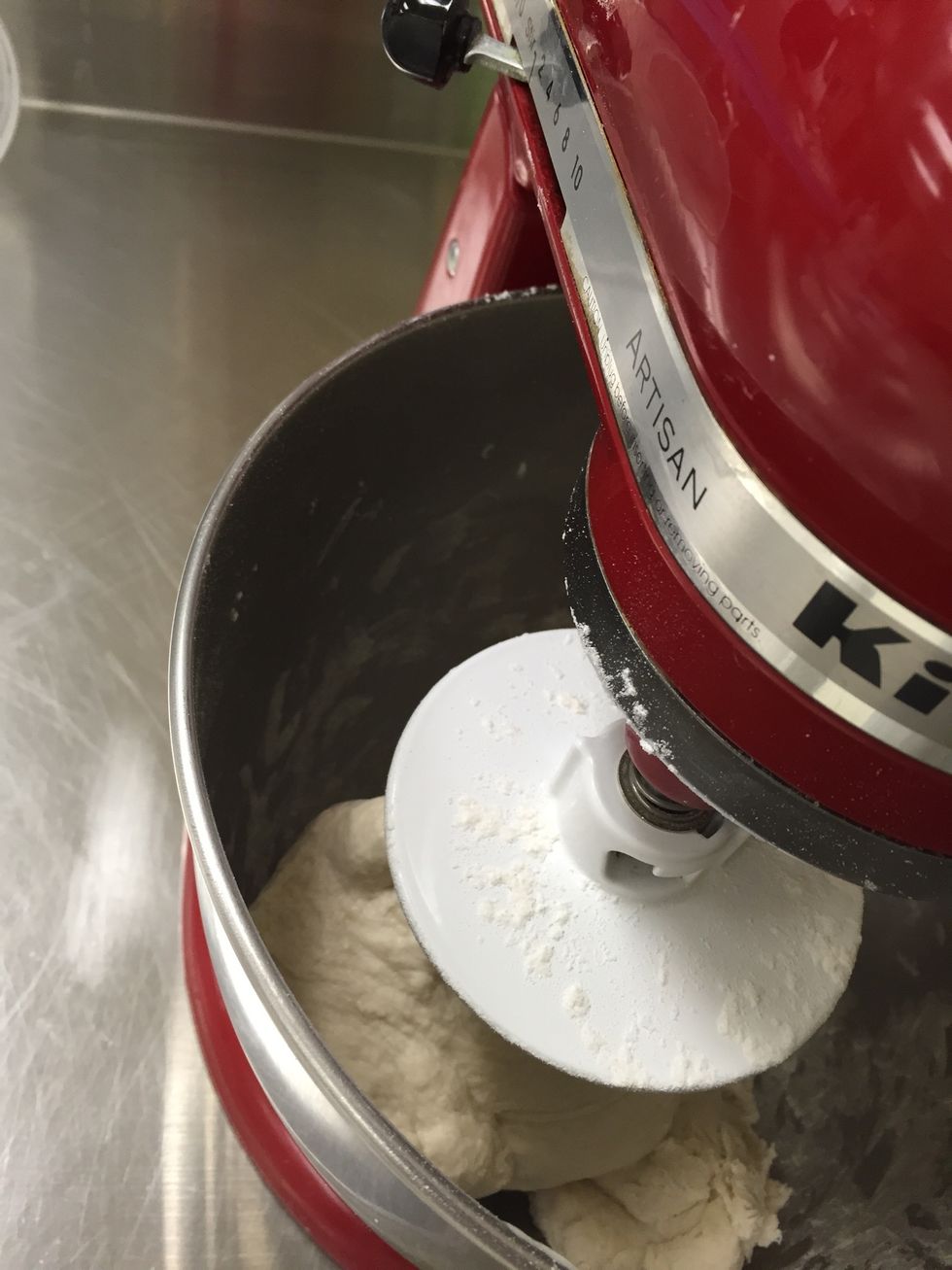 Next, attach the dough hook, and knead the dough on medium speed until it is smooth and elastic, should be about five minutes.