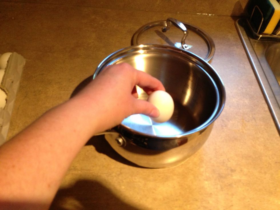 Next, carefully place the eggs into the bottom of the pot. Be careful that they don't crack. That would make a BIG mess.