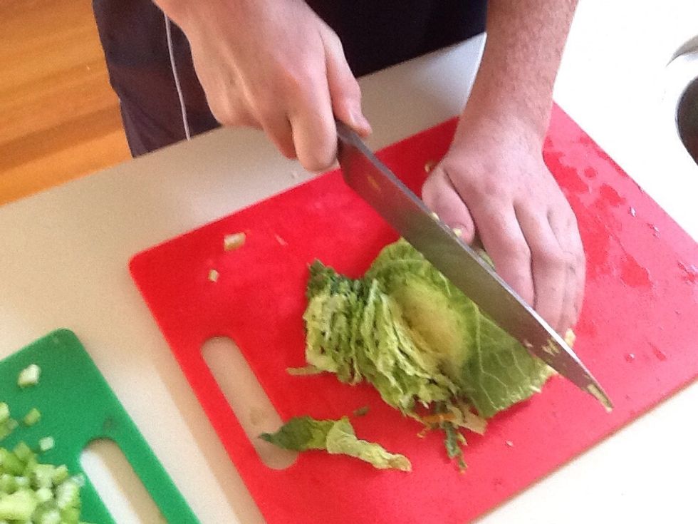 Next cut the cabbage