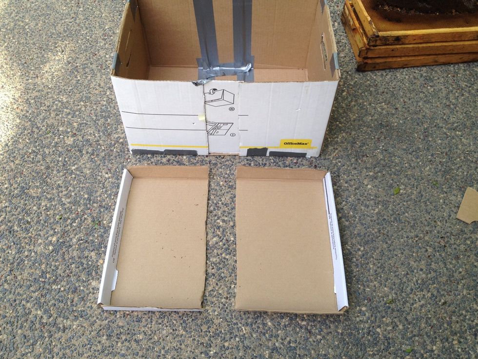 Next cut the lid in half.