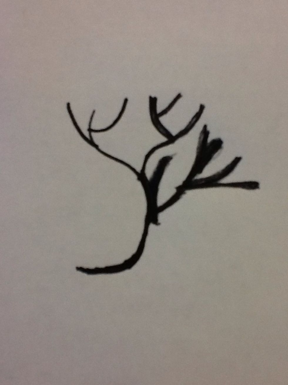 Next draw the branches on the right side of the tree.