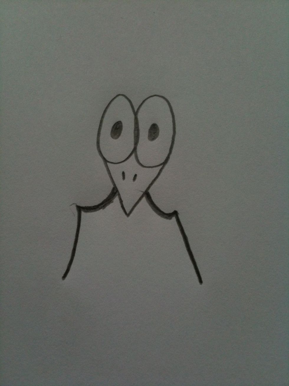 Next draw two straight lines to get the structure of the wings.