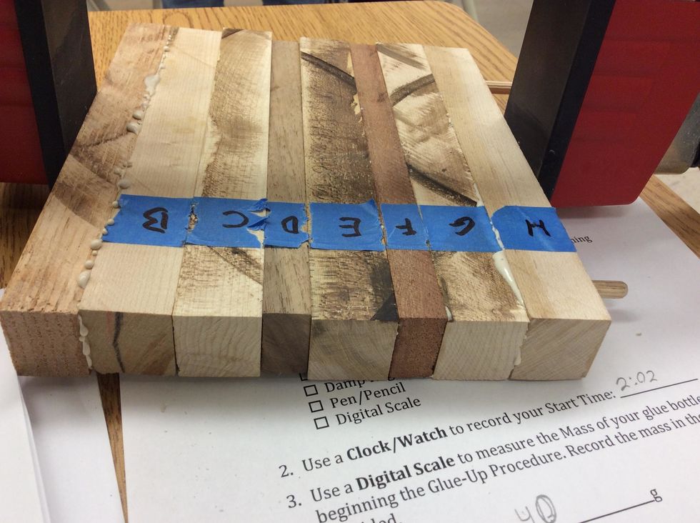 Next Dry fit your pieces together so they don't fall apart