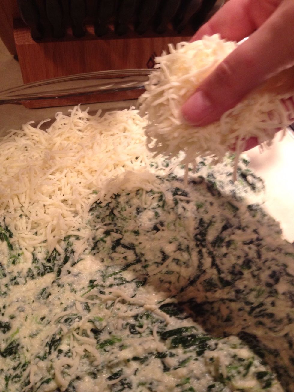 Next evenly layer mozzarella