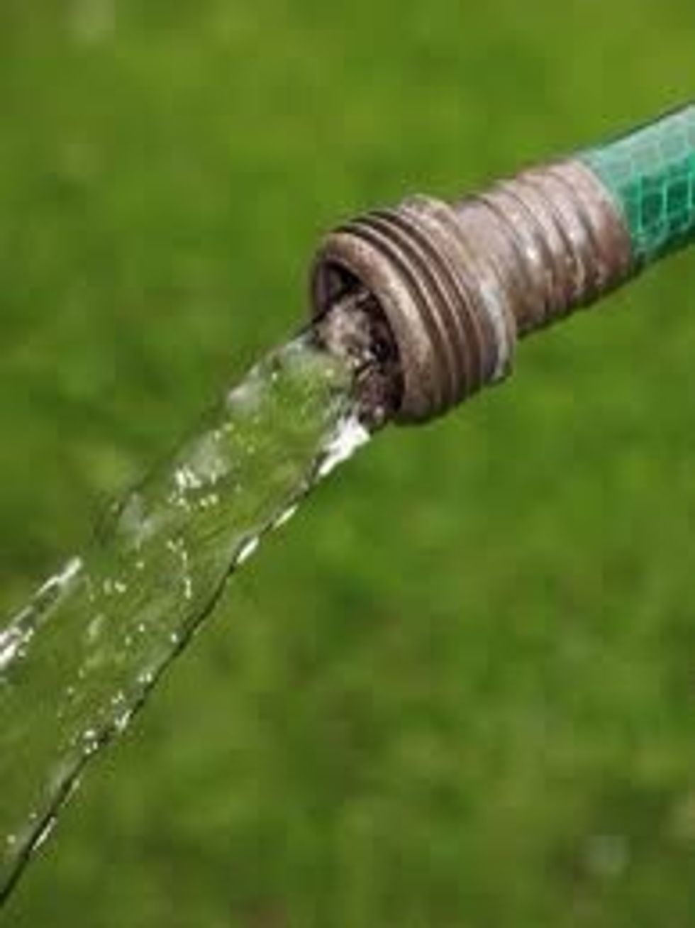 Next, fill the hole with water.