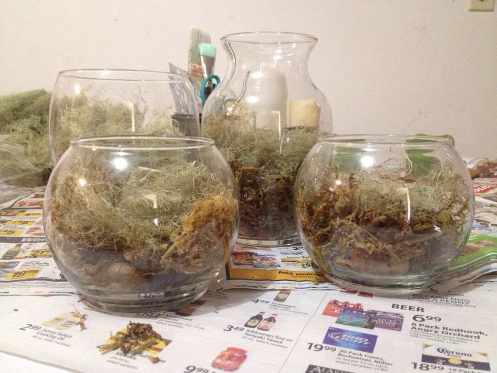 Next fill with moss and lichens that you've gathered off trees and the ground in wooded areas (or bought at a craft store or dollar store! It's all good).