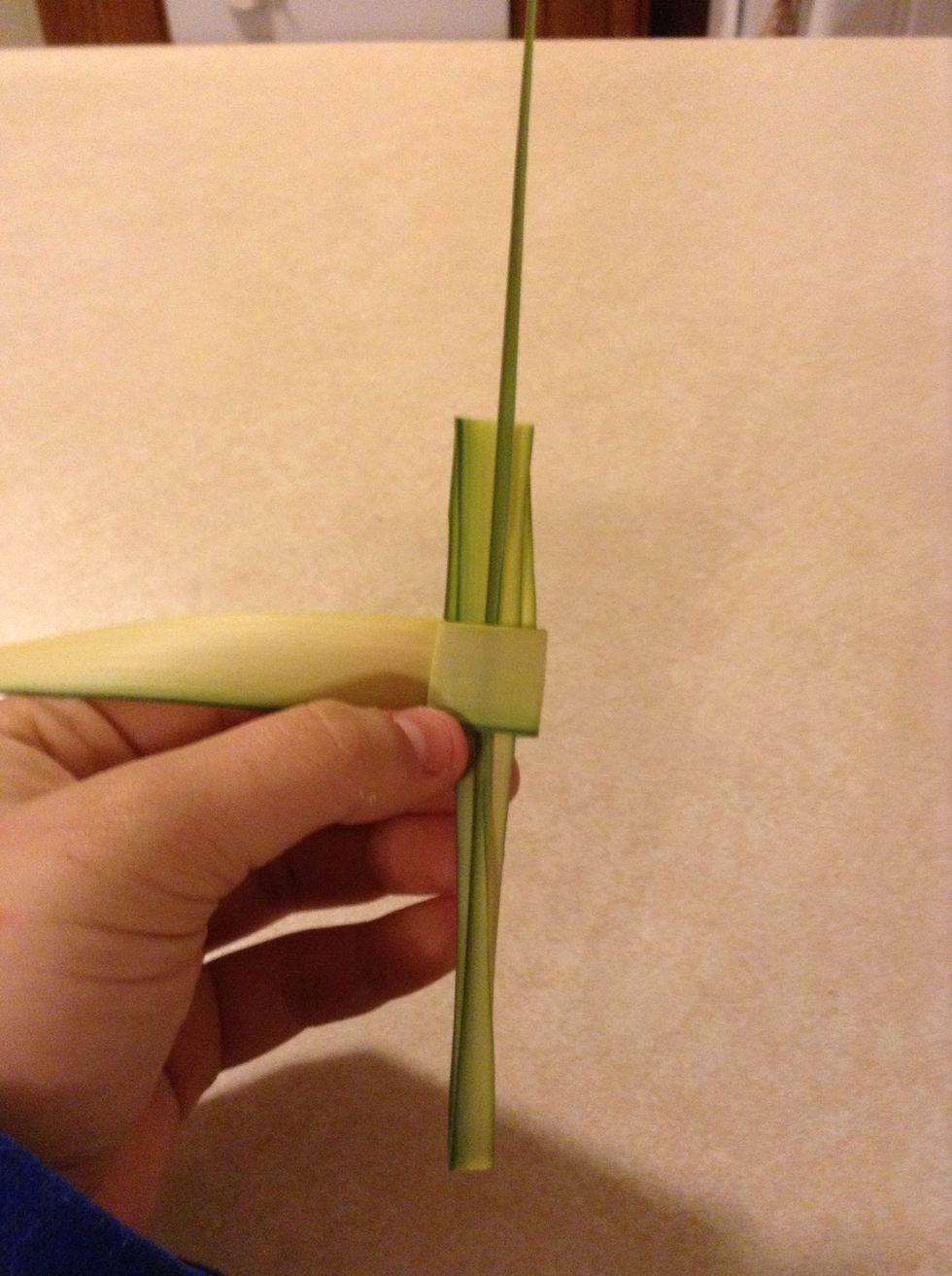Next, fold the palm back up and under the flap. Leave the bottom your desired length.