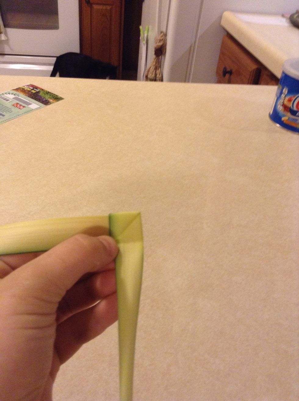 Next fold (the same part you just folded up) down and behind the larger part of the Palm.