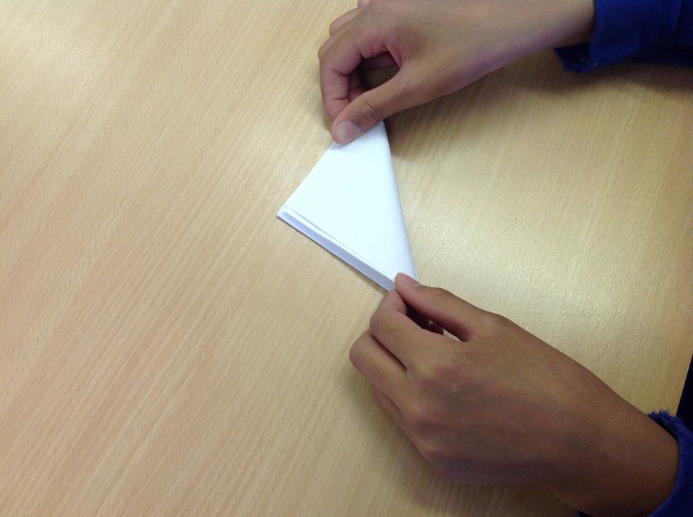 Next get the other three flaps and fold it behind.