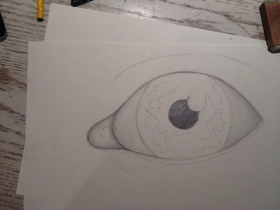 Next, I drew an outline for the different shadings in the iris and also filled in the pupil. Please note that I have been making adjustments to different parts of the eye along the way.
