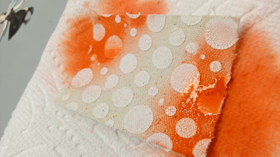 Next, I'm spraying one with my Salmon Colorations Spray.