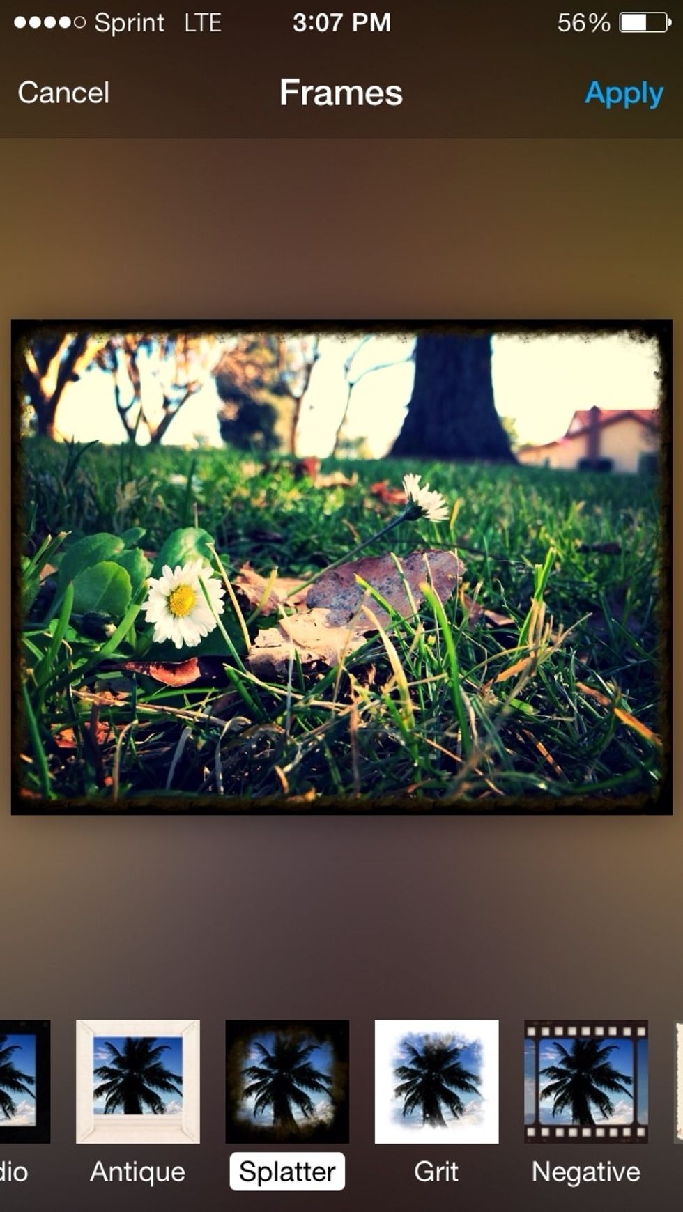 Next, is frames. I chose the one called Splatter for my picture.