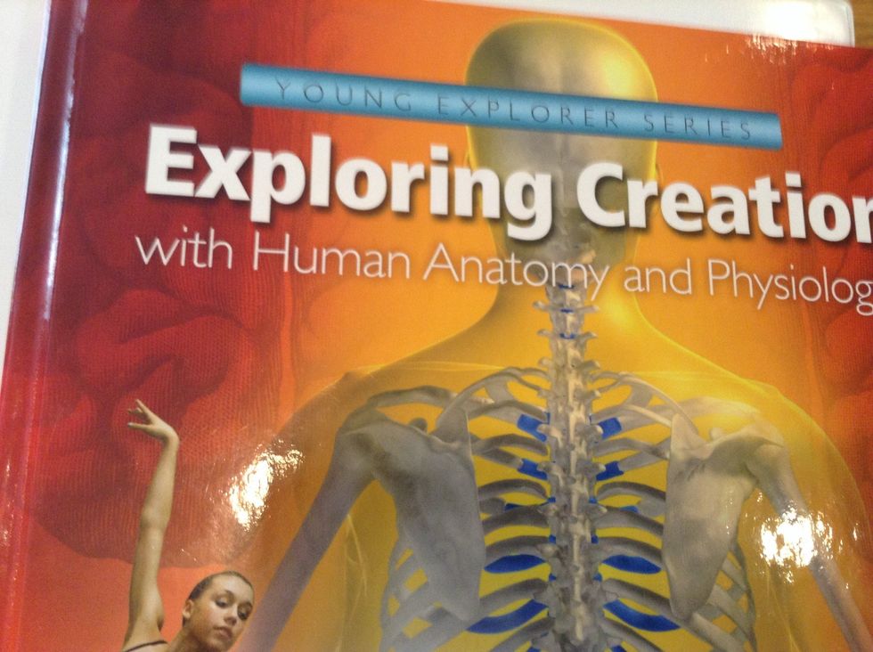 Next is science, we use Apologia, and you don't have to worry about evolution in that book! We chose anatomy to go along with CC, but you can choose whatever you like!