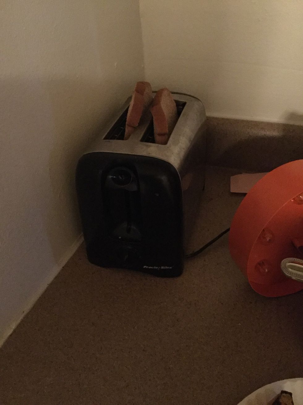 Next: Place bread in toaster and toast bread until liking.