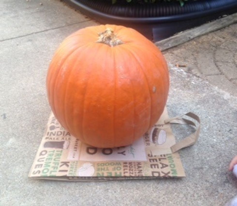 next put pumpkin on paper.