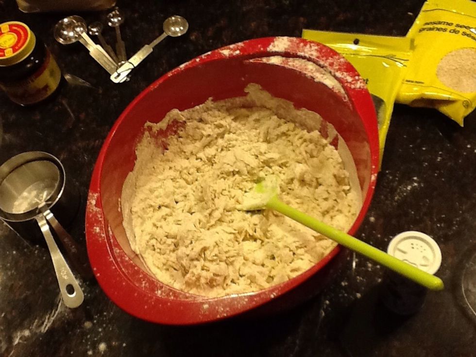 Next, put the flour and salt in to the big bowl, mix in the yeast mixture, also mix in the rest of the water and the olive oil. P.S If your mixture looks dry, add water until it sticks together