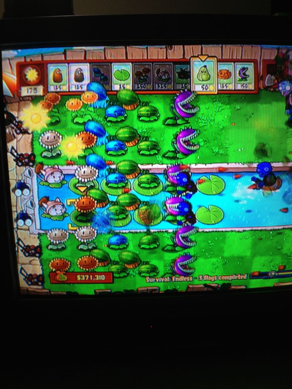 Next row will be chompers, and we are still upgrading are plants!!